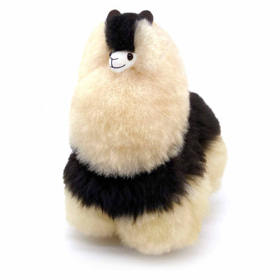 Alpaca – Medium - Fluffy