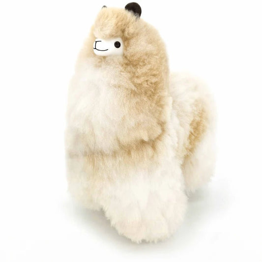 Альпака – Велика - Cахара